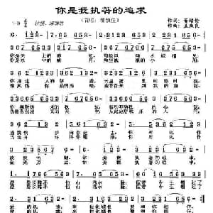 你是我执著的追求_通俗唱法乐谱_词曲:董培伦 孟庆良