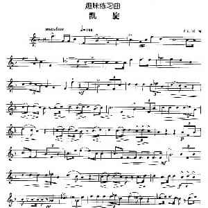 趣味练习曲 凯旋 V.R.DI