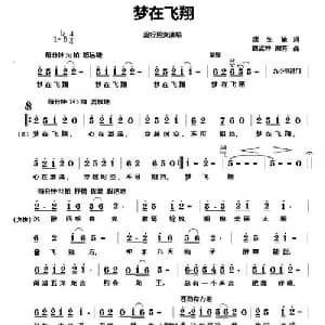 梦在飞翔_通俗唱法乐谱_词曲:唐生瑜 唐孟冲 谢芳