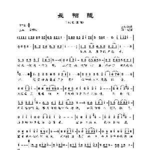 常相随_歌曲简谱_词曲:月明 月明