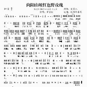 向阳山坡红色野玫瑰_歌谱投稿_词曲:黄庆元 黄庆元