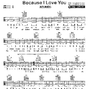 因为我爱你 吉他谱 斯蒂文斯