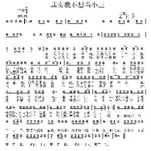 其实我不想当小三_歌曲简谱_词曲:马东川 姜振