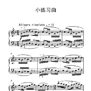 小练习曲 钢琴谱