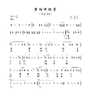 梦向何处寻_歌曲简谱_词曲:琼瑶 古月