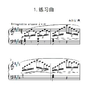 第四级B组 练习曲 钢琴谱 车尔尼