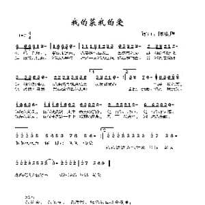 我的菜我的爱_歌谱投稿_词曲:陈康腾 陈康腾