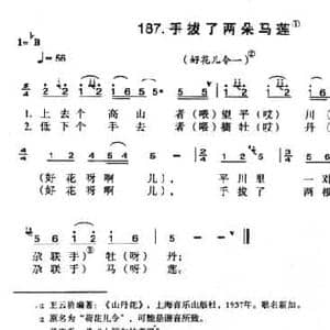 手拔了两朵马莲_民歌简谱