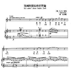 我闻到菩提树的芳香 奥地利 _外国歌谱_词曲: 奥 G 马勒