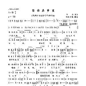 想你在梦里_歌曲简谱_词曲:佚名 佚名