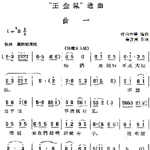 黄梅戏谱 | 王金凤 选曲 曲一 快嘴女人唱段 鲁彦周 时白林等编曲