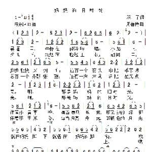 妈妈的旧时光_歌曲简谱_词曲:双子 周善儒