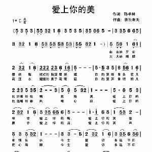 爱上你的美_通俗唱法乐谱_词曲:孙书林 快乐老天