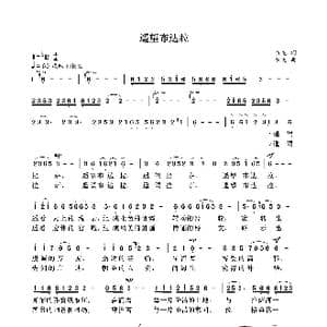 遥望布达拉_歌曲简谱_词曲:袁龙 袁龙