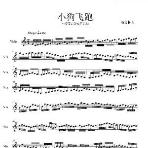 小狗飞跑_歌谱投稿_词曲: 杨会林作曲