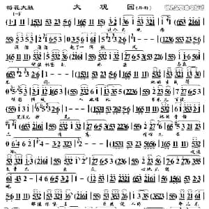 梅花大鼓 大观园 片段