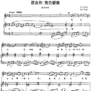思念你,我的蝴蝶_美声唱法乐谱_词曲:程义浩 钱正钧
