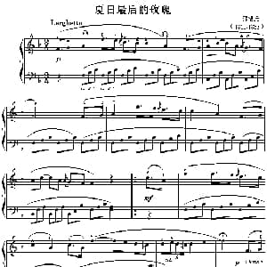 考级的初级曲目 夏日最后的玫瑰 钢琴谱 弗洛托