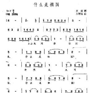 什么是祖国_民歌简谱_词曲:王森 方智诺