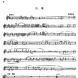 殇 箫 伴奏 五线谱 张维良