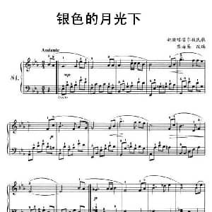 在银色的月光下 钢琴谱 黎海英 改编