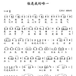 你是我的唯一_通俗唱法乐谱_词曲:巴秀拉 巴秀拉