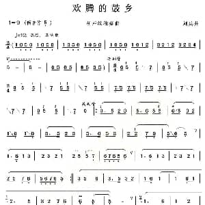 葫芦丝谱 | 欢腾的鼓乡