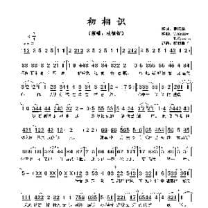 ​初相识_歌谱投稿_词曲:潘伟源 T.Kelly / K.Cronin