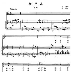 栀子花_通俗唱法乐谱_词曲:忘川 蒋燕