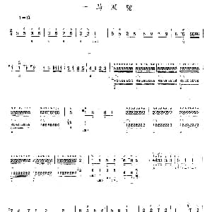 琵琶谱 | 一马双驼