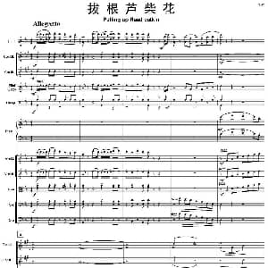 拔根芦柴花 总谱 鲍元恺