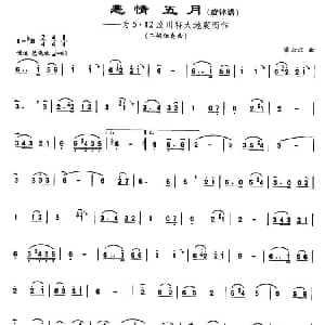 二胡谱 | 悲情五月 梁云江