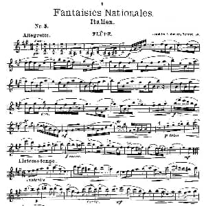 长笛曲谱 | Fantaisies nationales. Op. 59, 5. Andersen 安德森