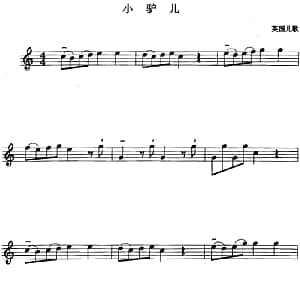 小提琴谱 | 小驴儿