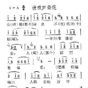 苏北小调_拔根芦柴花_民歌简谱