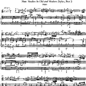 长笛曲谱 | 斯勒新老风格长笛练习重奏曲 第三部分 NO.1 NO.2 Siegfried Thiele S. 斯勒