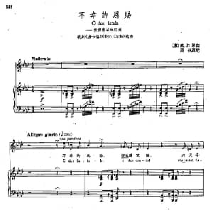 29不幸的恩赐 意大利 _外国歌谱_词曲:歌剧 唐卡洛 选曲 威尔第