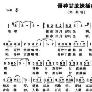 哥种甘蔗妹插秧_民歌简谱_词曲:梁邵武 范西姆