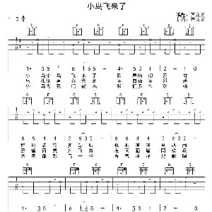 小鸟飞来了 吉他谱 齐元义