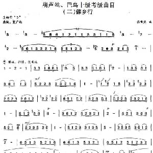 巴乌十级考级曲目 傣乡行 张宝庆