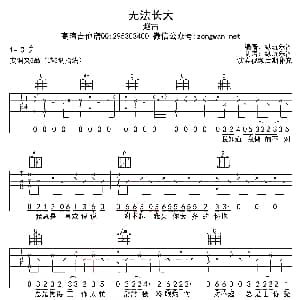 无法长大 吉他谱 赵雷