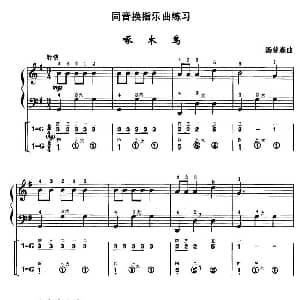 手风琴谱 | 啄木鸟 线简谱对照 带指法版 汤普森