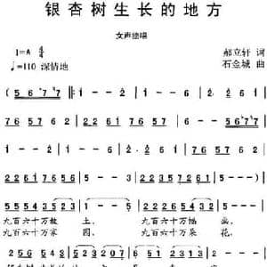 银杏生长的地方_民歌简谱_词曲:郝立轩 石金城