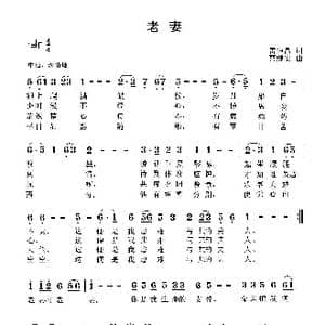 老妻_歌曲简谱_词曲:雷恒昌 曹继安