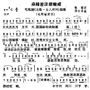 麻辣苦涩甜酸咸_通俗唱法乐谱_词曲:张藜 徐沛东