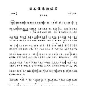 留不住你的温柔_歌曲简谱_词曲:李泽坚 李泽坚