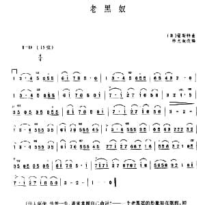 二胡谱 | 老黑奴 美 福斯特曲 林光璇改编