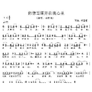 你像雪莲开在我心里_通俗唱法乐谱_词曲:杨雪晴 杨雪晴