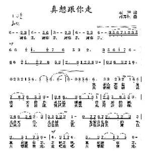 真想跟你走_歌曲简谱_词曲:李严 邵寿棋