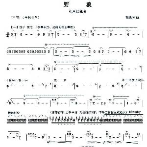 葫芦丝谱 | 野狼 赵洪啸